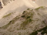 2014-08-02_06FritzPflaum-Steig (290).JPG